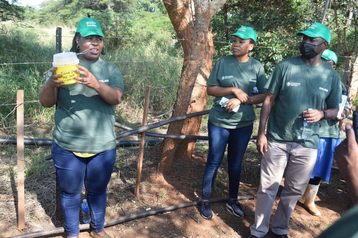 DALRRD celebrates 1st International Day of Plant Health